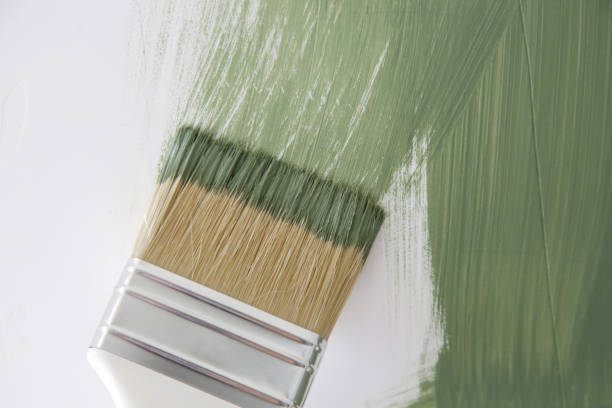 Best Basement Mold Removal  in Marcus Hook, PA